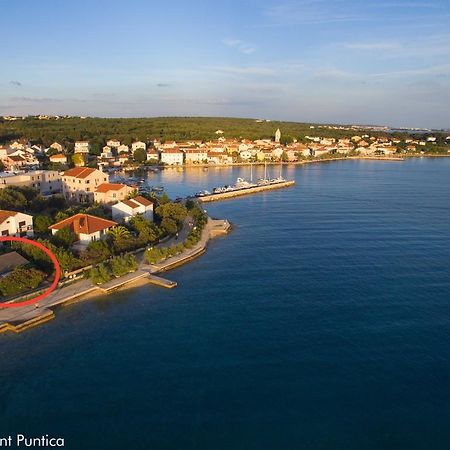 Apartment Puntica Petrčane Dış mekan fotoğraf
