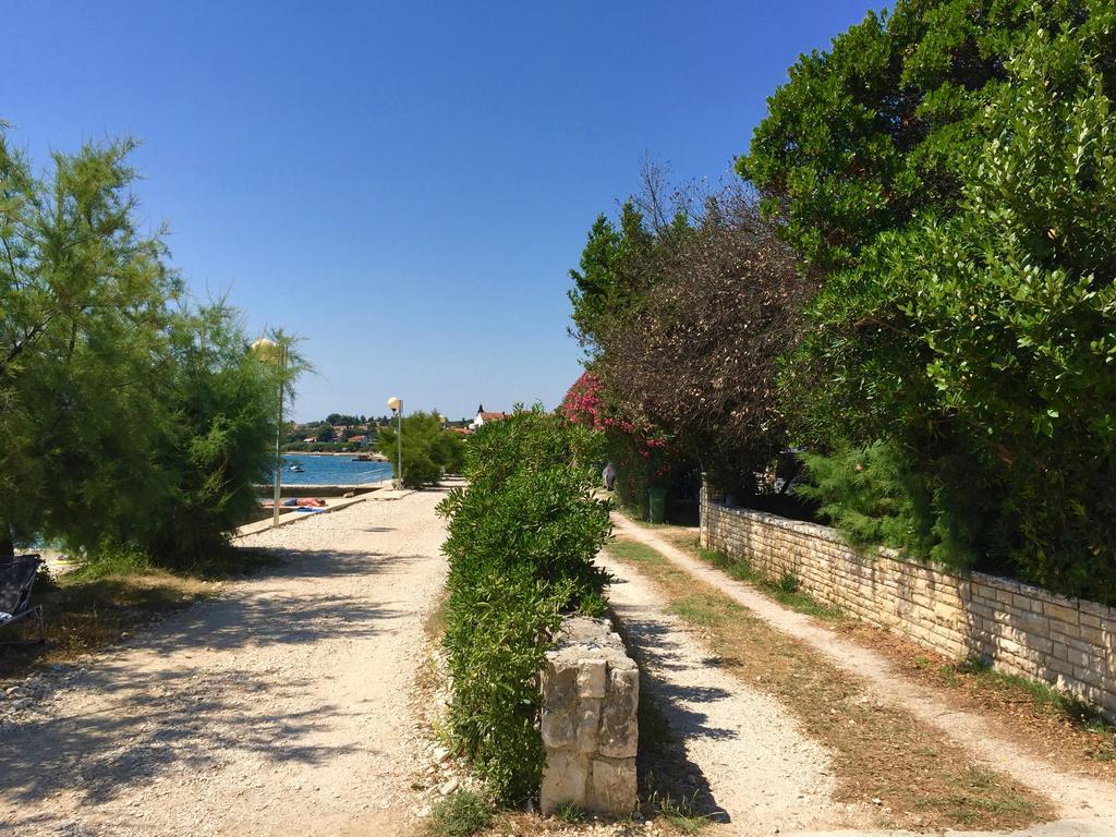 Apartment Puntica Petrčane Dış mekan fotoğraf
