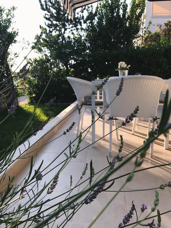 Apartment Puntica Petrčane Dış mekan fotoğraf